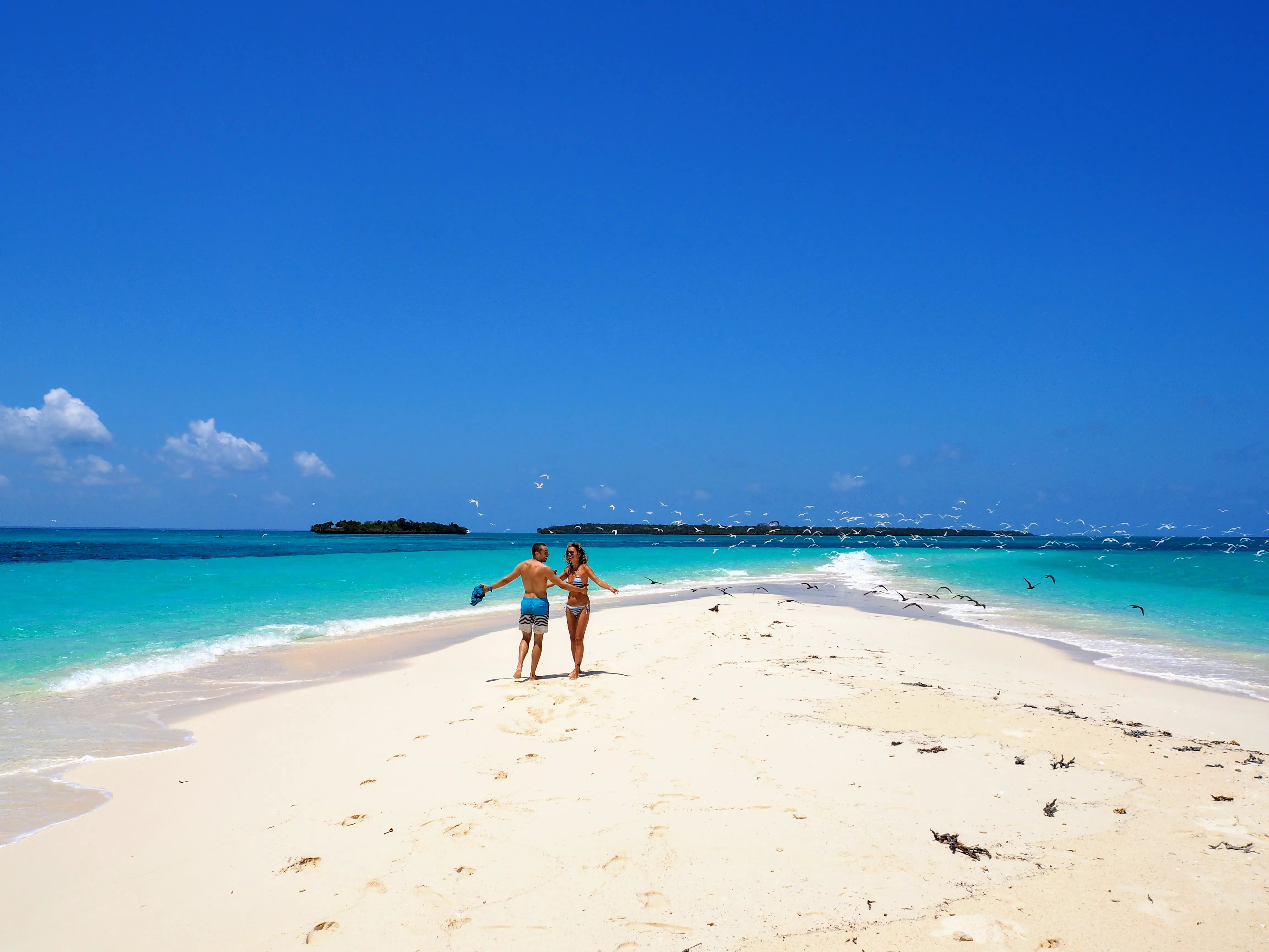 THE BEST 12 DAYS HONEYMOON TANZANIA  SAFARI AND ZANZIBAR HOLIDAY